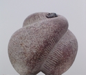 gal/Granit skulpturer/_thb_DSC01268.jpg